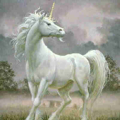 Licorne_champtop