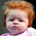 baby-rouquin