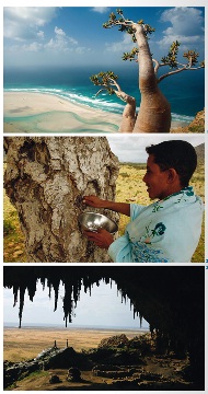 SO Blink LES PLUS BEAUX VOYAGES NATURE 3