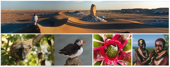 SO Blink LES PLUS BEAUX VOYAGES NATURE 4