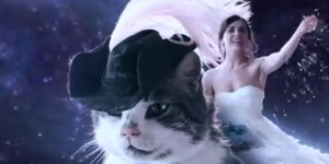 soblink ripolin nyan cat wtf pub vignette