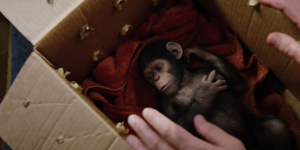 soblink rise of the planet of apes planete des singes origines vignette